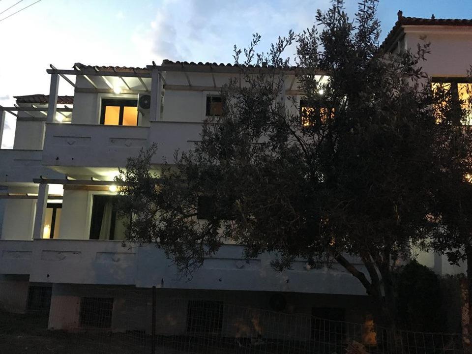 Chalkiotis Hotel Anaxos Dış mekan fotoğraf